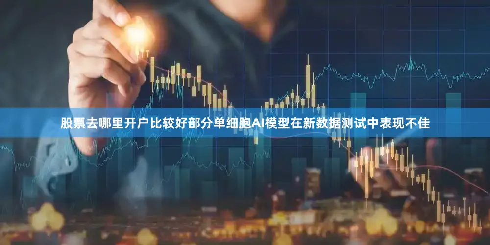股票去哪里开户比较好部分单细胞AI模型在新数据测试中表现不佳